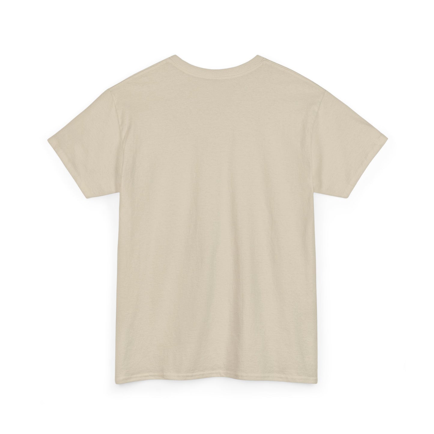 Unisex Heavy Cotton SPACEX Tee, Short, Tall, Fat, or Small apparel