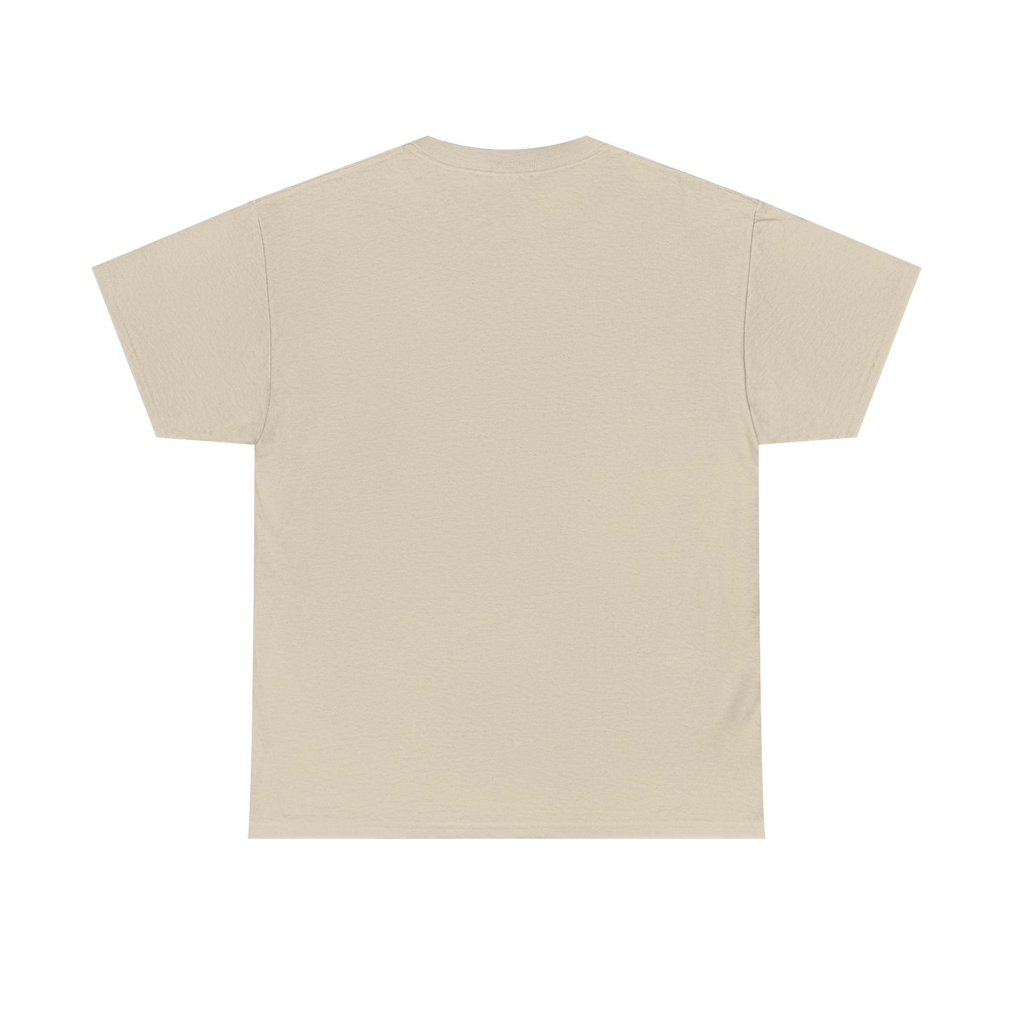 Unisex Heavy Cotton SPACEX Tee, Short, Tall, Fat, or Small apparel