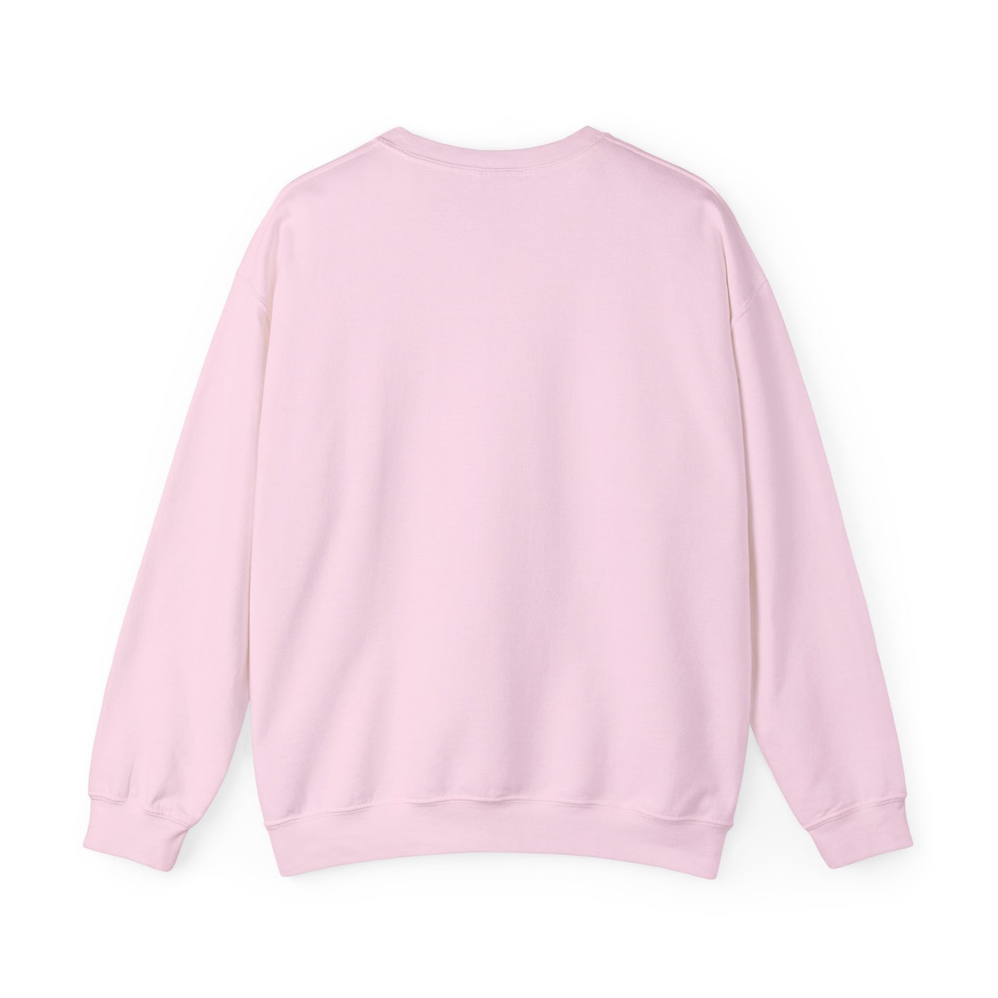Crewneck SpaceX Sweatshirt