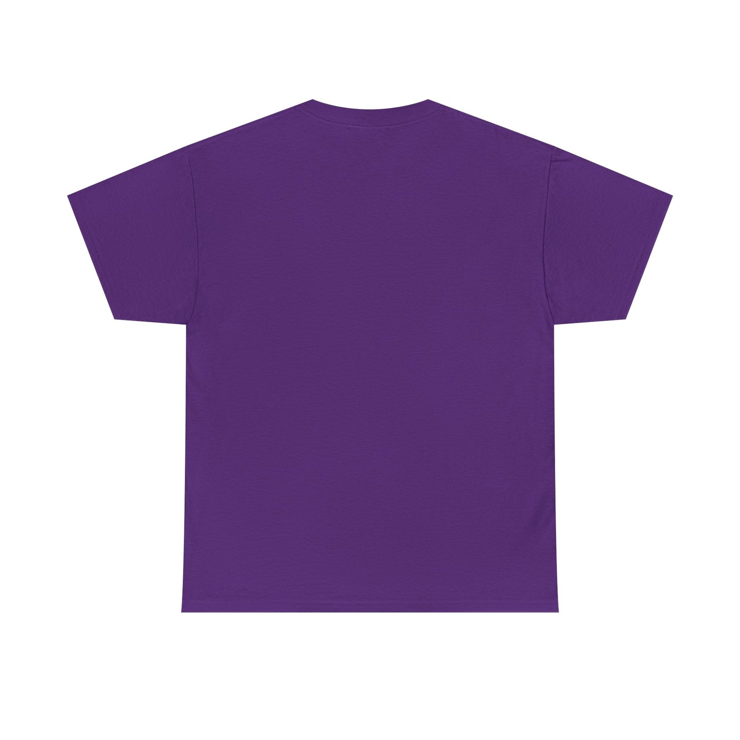 Unisex Heavy Cotton SPACEX Tee, Short, Tall, Fat, or Small apparel