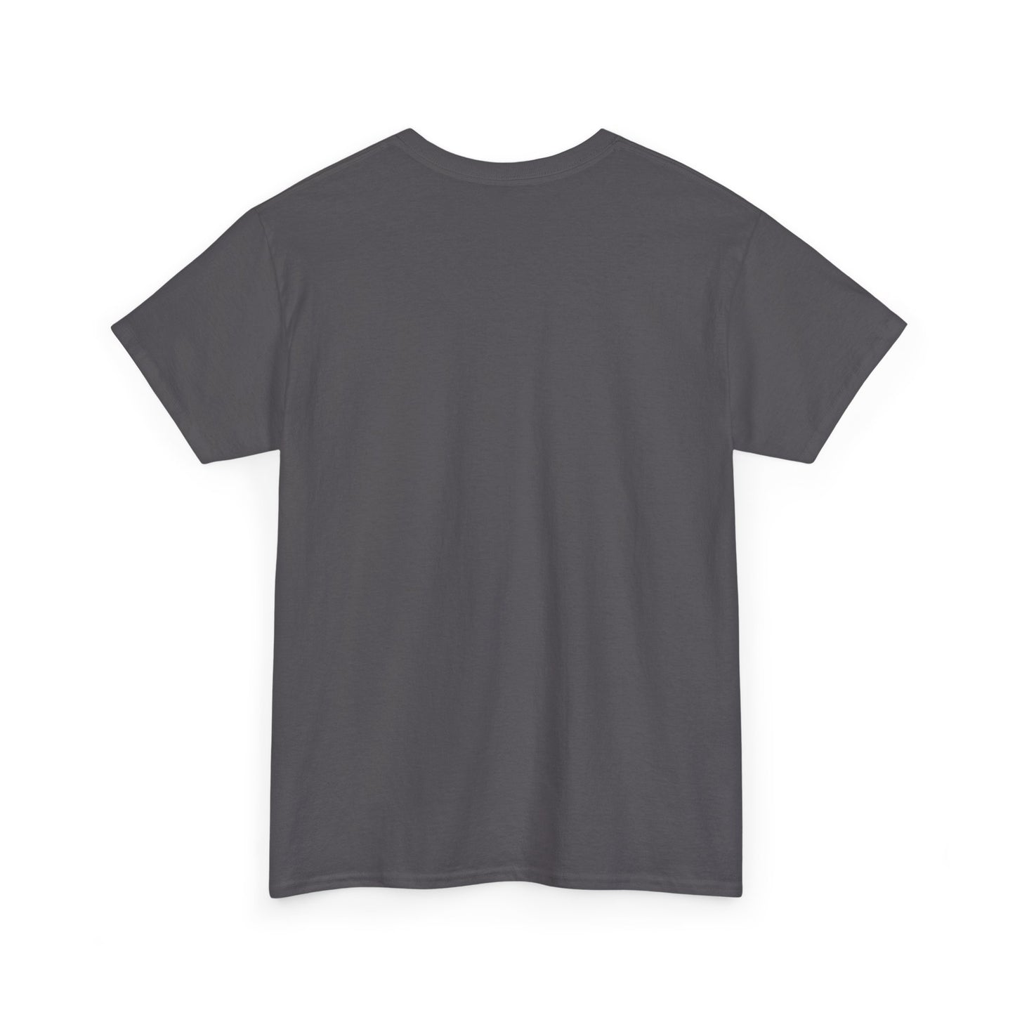 Unisex Heavy Cotton SPACEX Tee, Short, Tall, Fat, or Small apparel