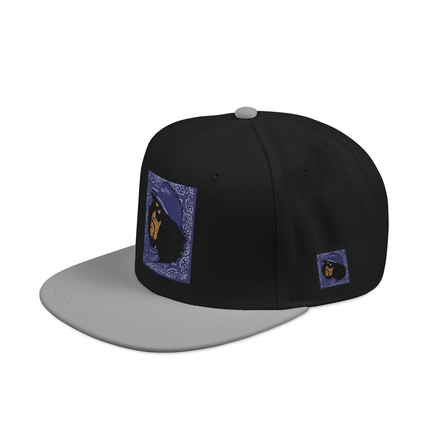 Rip Rider Archives Snapback Hat