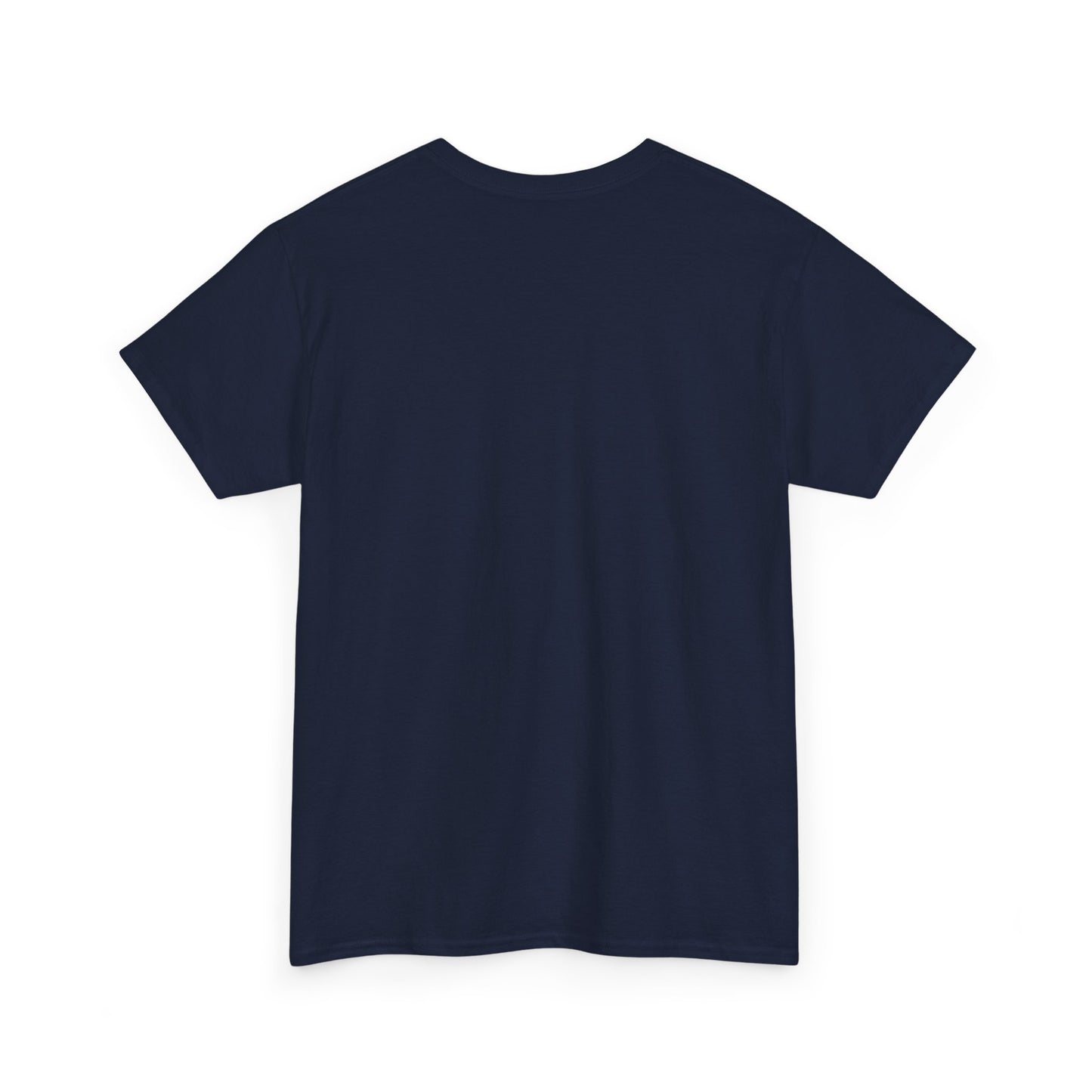 Unisex Heavy Cotton SPACEX™ Tee, Short, Tall, Fat, or Small apparel