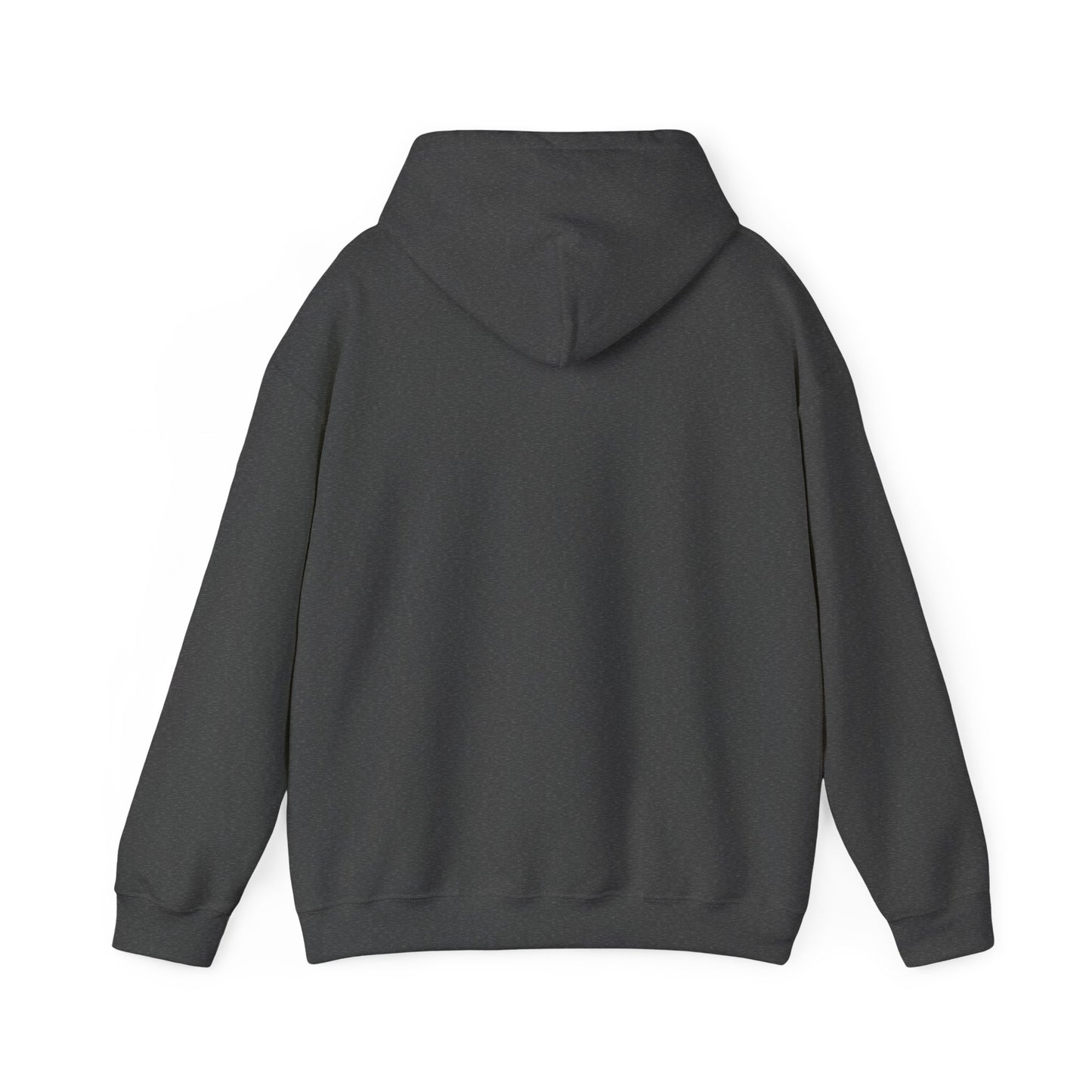 Rip Rider Archives Bandana Mask Hoodie