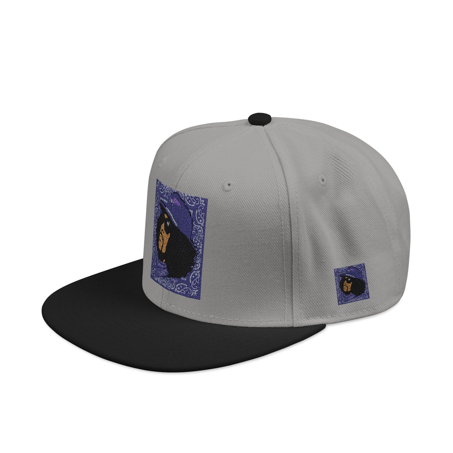 Rip Rider Archives Snapback Hat