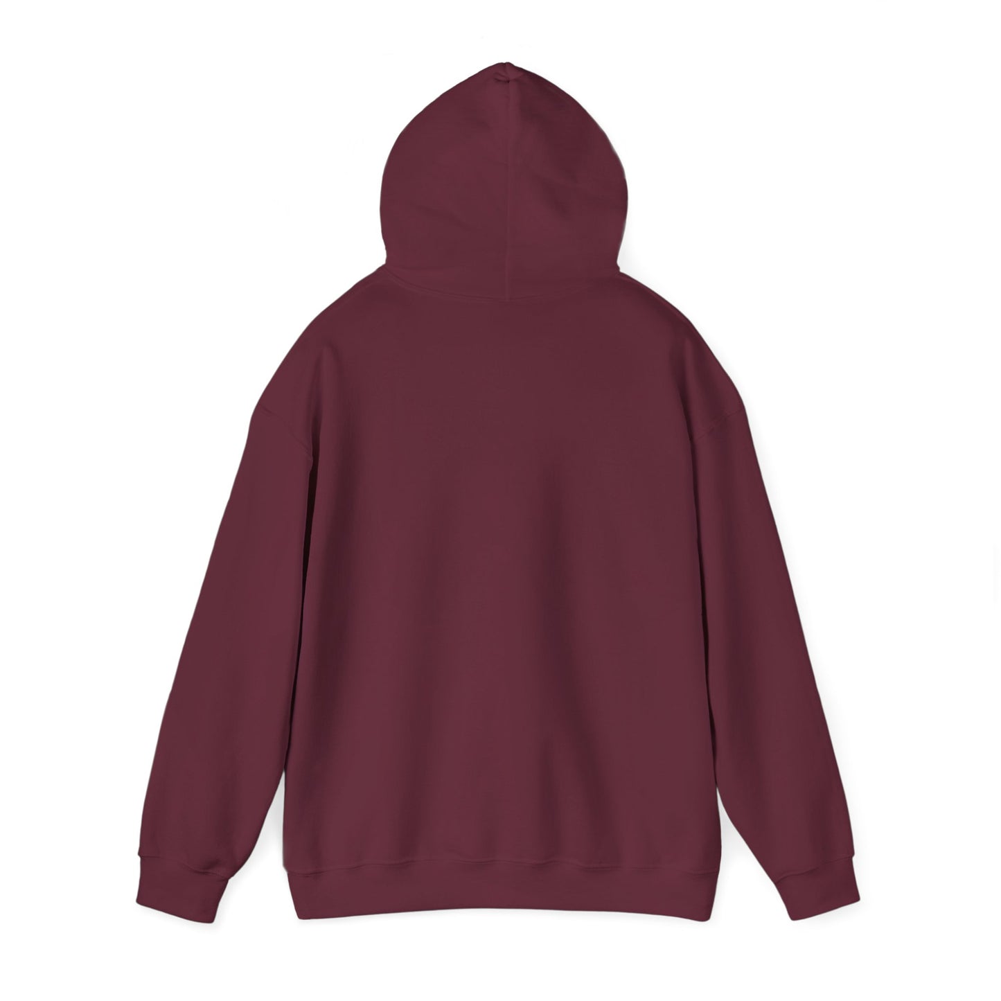 Rip Rider Archives Hoodie