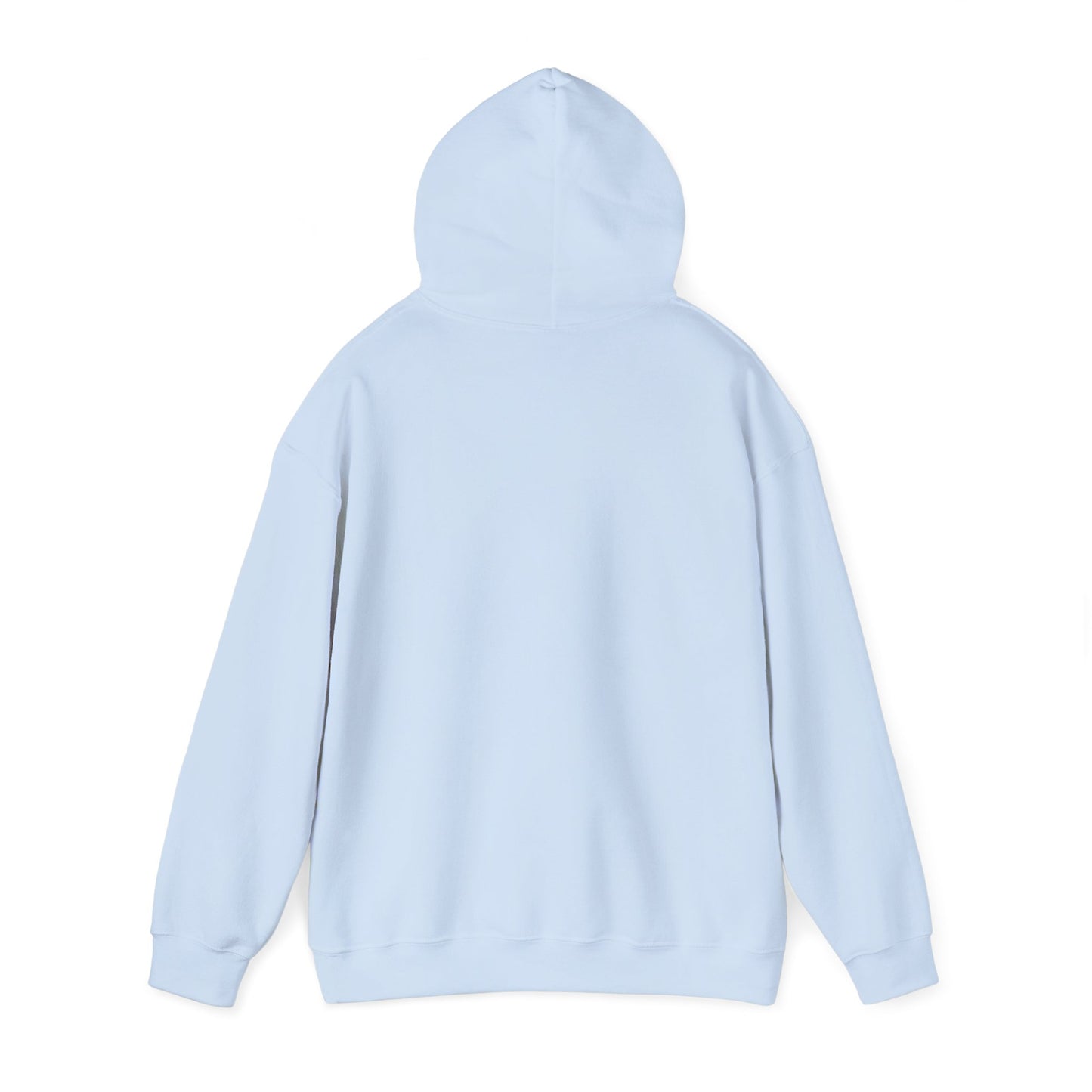 Rip Rider Archives Bandana Mask Hoodie