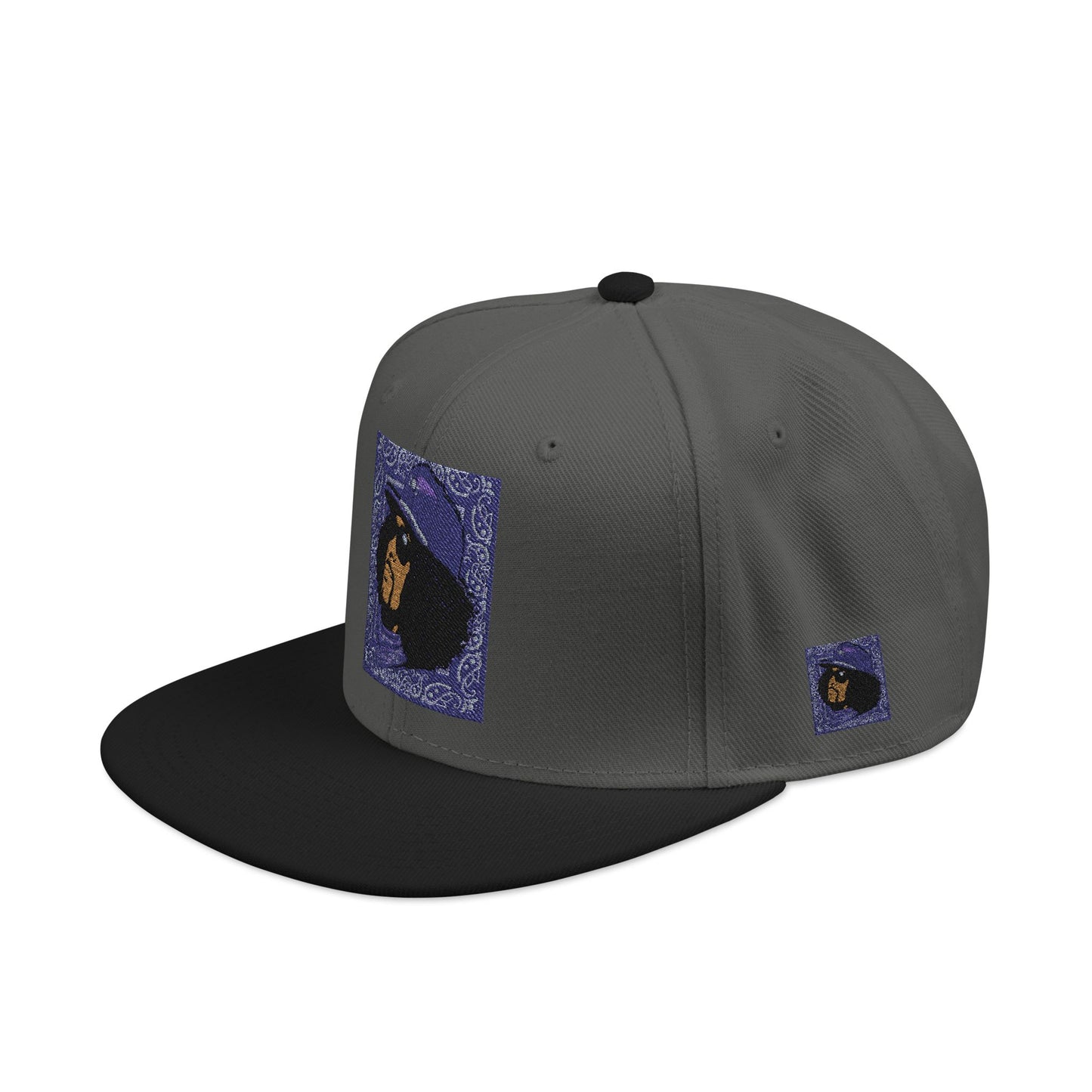Rip Rider Archives Snapback Hat