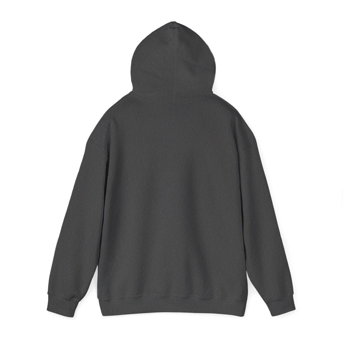 Rip Rider Archives Bandana Mask Hoodie