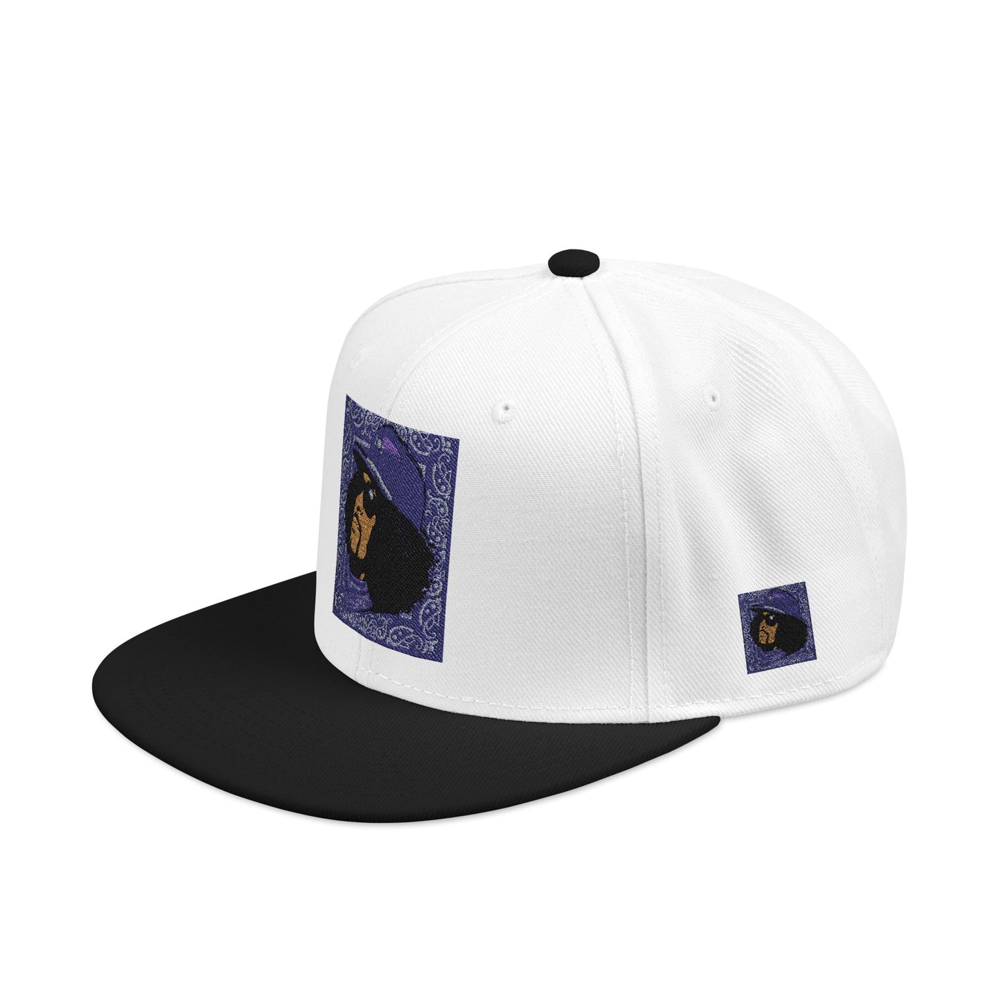 Rip Rider Archives Snapback Hat
