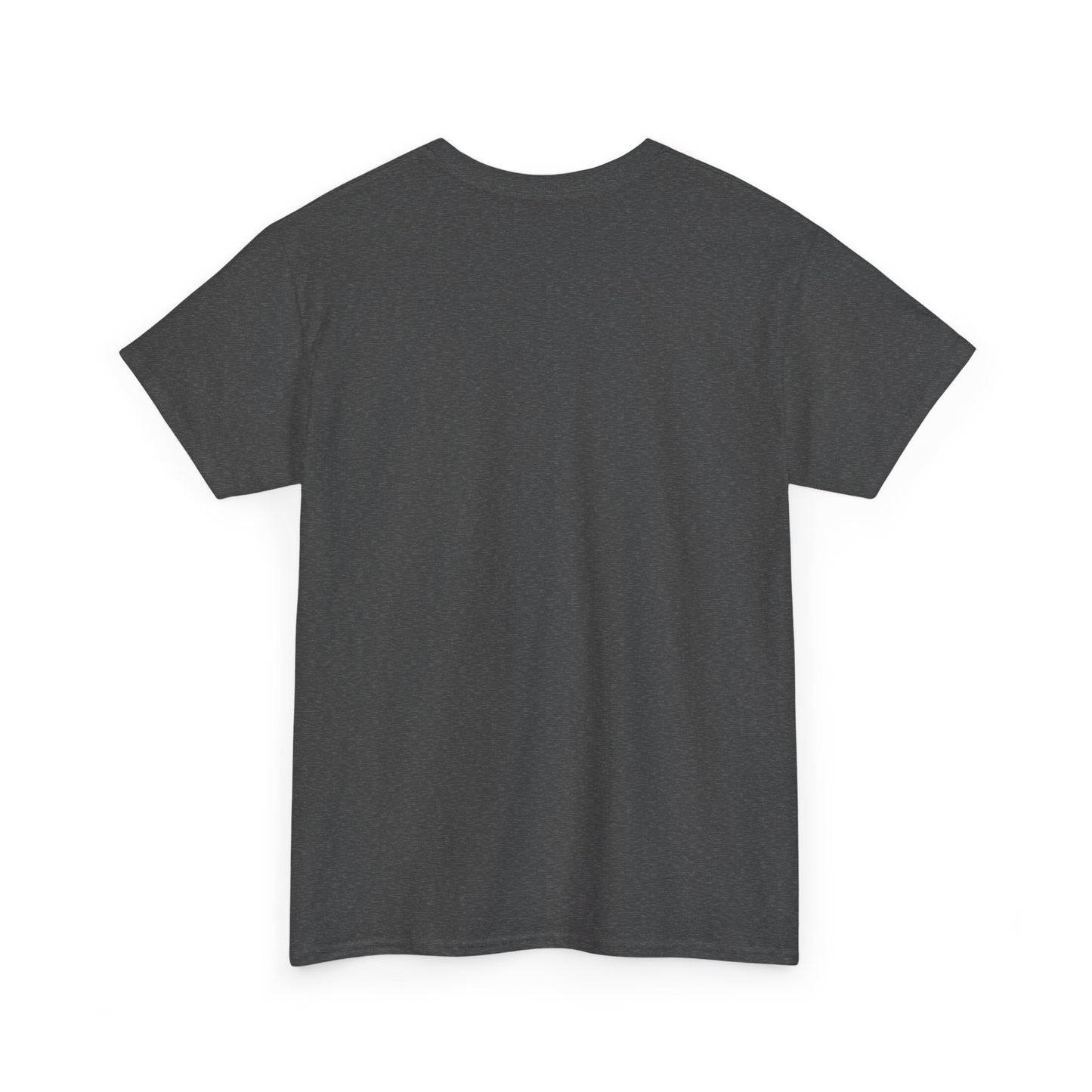 Unisex Heavy Cotton SPACEX™ Tee, Short, Tall, Fat, or Small apparel