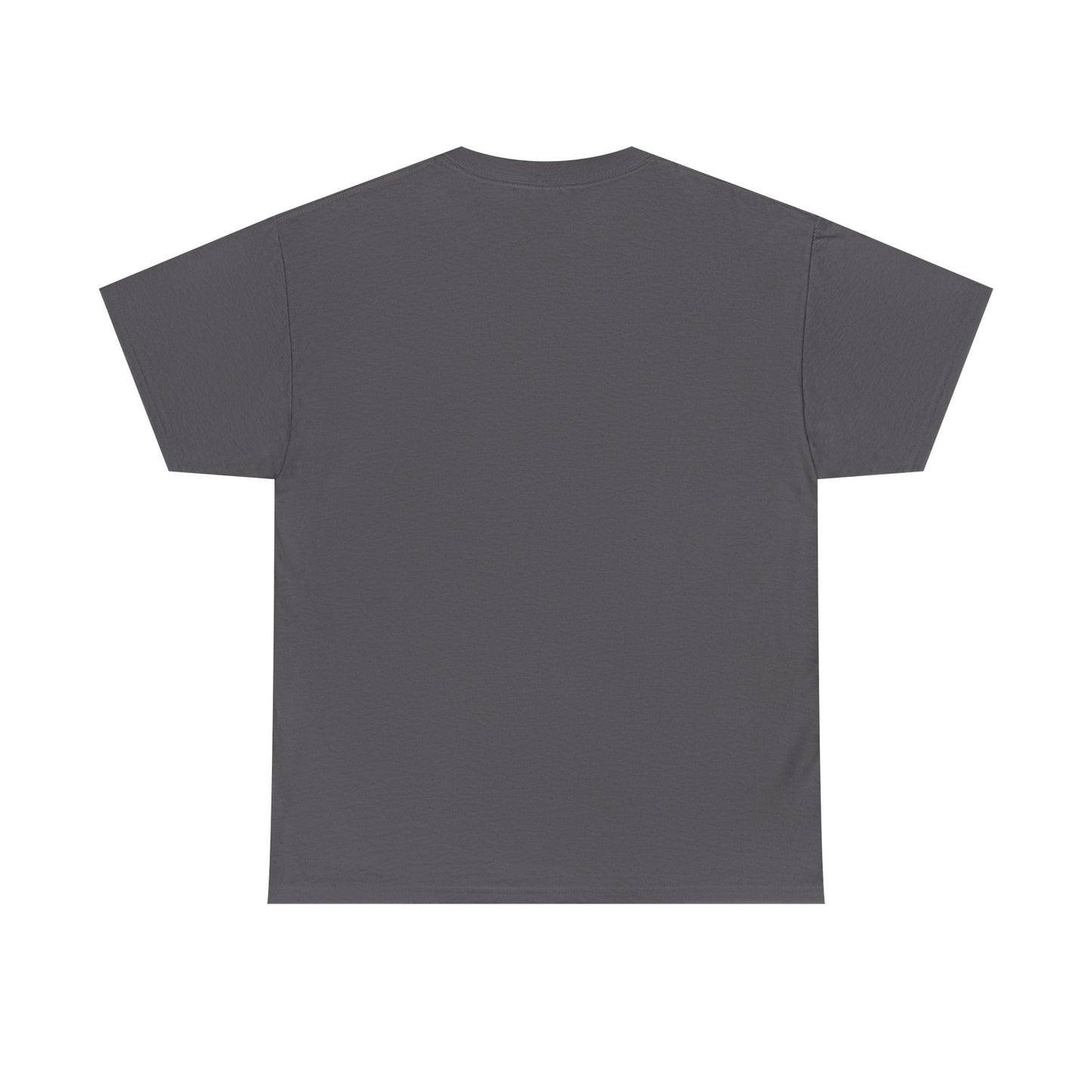 Unisex Heavy Cotton SPACEX Tee, Short, Tall, Fat, or Small apparel