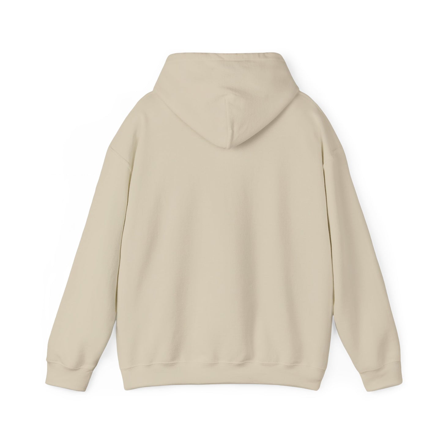 Rip Rider Archives Hoodie